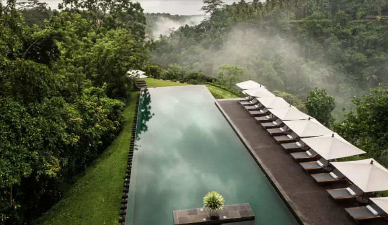 Alila Ubud-Award winning Pool Alila Ubud-Award winning Pool