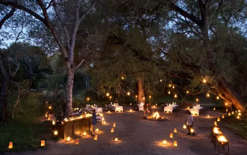 Lion Sands, Tinga Lodge-Lion Sands Sabi Sand Bush Dinner Lion Sands, Tinga Lodge-Lion Sands Sabi Sand Bush Dinner