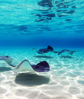 Cayman Islands