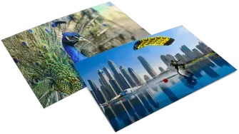 Dubai & Sri Lanka