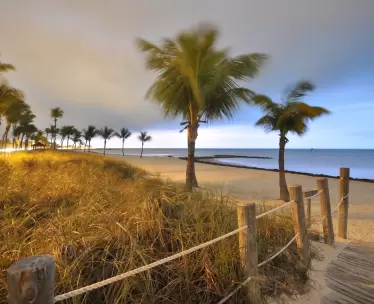 The Palm Beaches