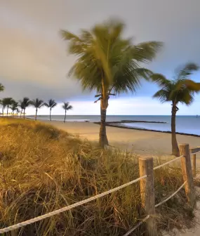 The Palm Beaches