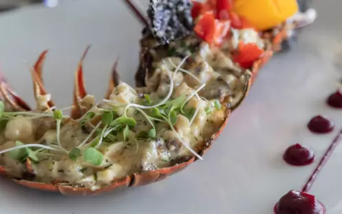 aqua-terra-restaurant-left-snippet-at-sea-breeze-beach-house-christ-church-barbados aqua-terra-restaurant-left-snippet-at-sea-breeze-beach-house-christ-church-barbados