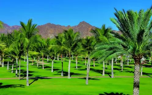 al bustan junior suite 5