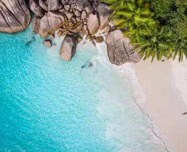 Seychelles & Beyond