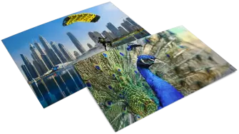 Sri Lanka & Dubai