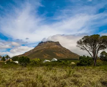 Winelands