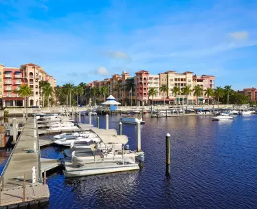 Florida Gulf Coast