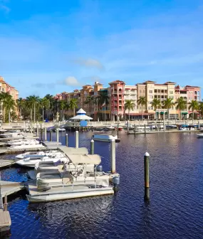 Florida Gulf Coast