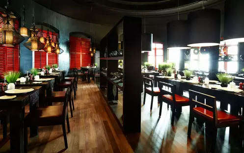 Duck Laundry 1_6760 Duck Laundry 1_6760