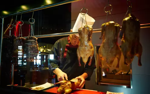 Duck Laundry 2_6760 Duck Laundry 2_6760