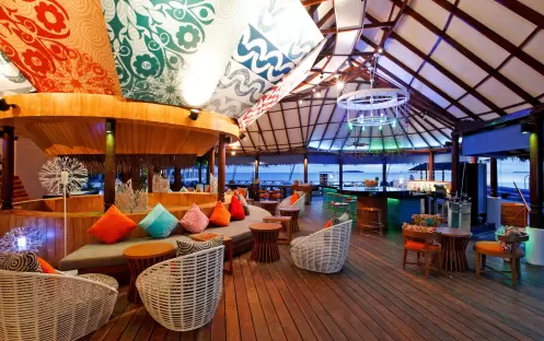 Coral 2_2649 Coral 2_2649