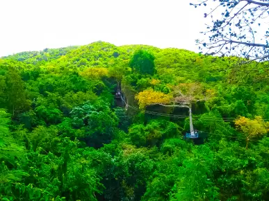 Antigua Rainforest Zipline Tour Antigua Rainforest Zipline Tour