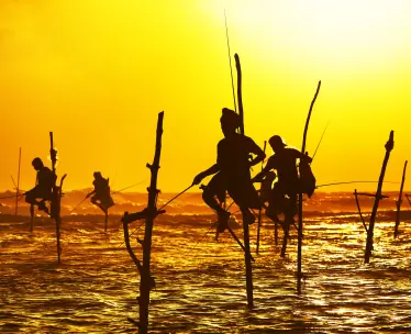 Sri Lanka Tours