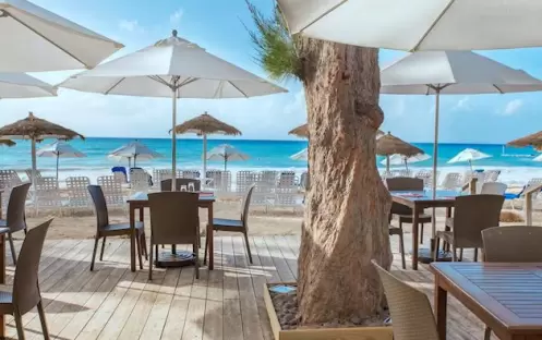 calabash-cafe-outside-dining_1 calabash-cafe-outside-dining_1