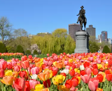 Boston