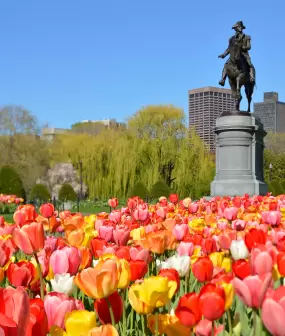Boston