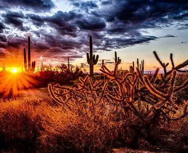 Scottsdale