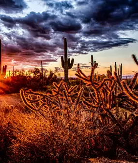 Scottsdale