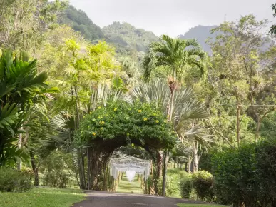 St Vincent Botanical Gardens St Vincent Botanical Gardens