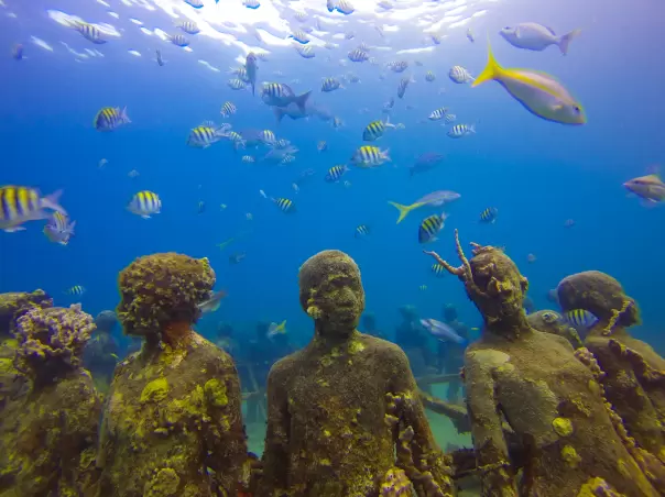 St. Lucia & Grenada