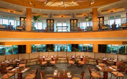 The Palm The Palm