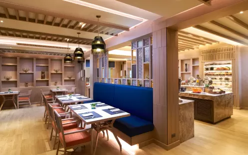 LOTUS FAMILY SECITON LOTUS FAMILY SECITON