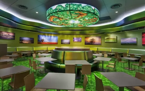 Landscape of Flavours Landscape of Flavours