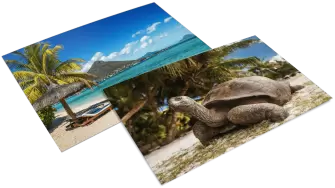 Mauritius & Seychelles