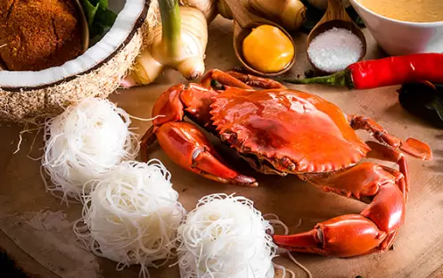 BEACH RESTAURANT CUISINE BEACH RESTAURANT CUISINE