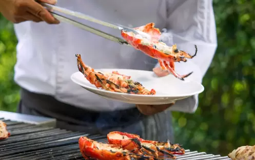SUNDAY BRUND LOBSTER SUNDAY BRUND LOBSTER