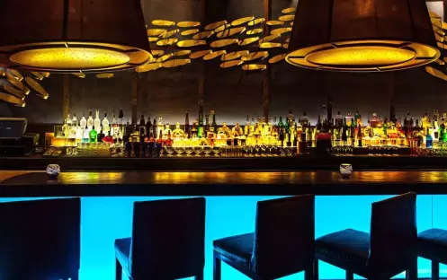 bluezoo_bar_2