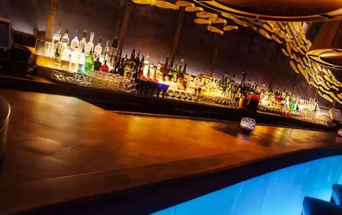 bluezoo_bar_3