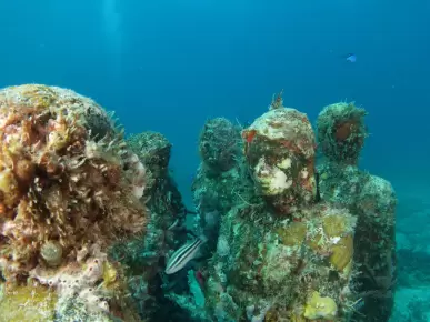 MUSA Underwater Museum