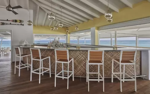 MANGO BAR AREA MANGO BAR AREA