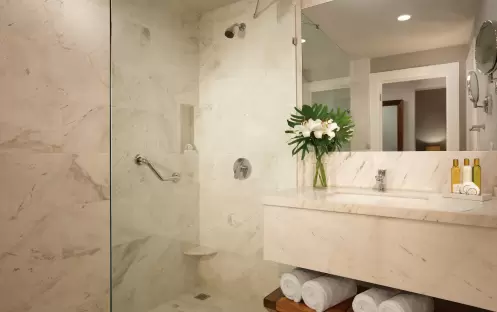 Dreams Dominicus La Romana-Deluxe Suite Tropical View Bathroom_13007 Dreams Dominicus La Romana-Deluxe Suite Tropical View Bathroom_13007