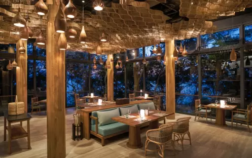 Tree Restaurant 1_6803 Tree Restaurant 1_6803