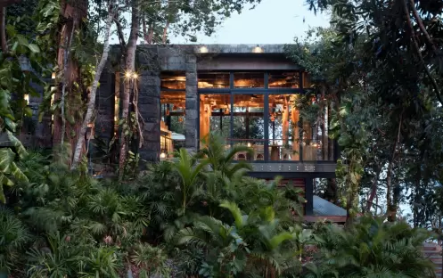 Tree Restaurant 2_6803 Tree Restaurant 2_6803