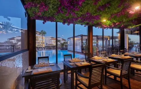 Bluewater Grill Bluewater Grill