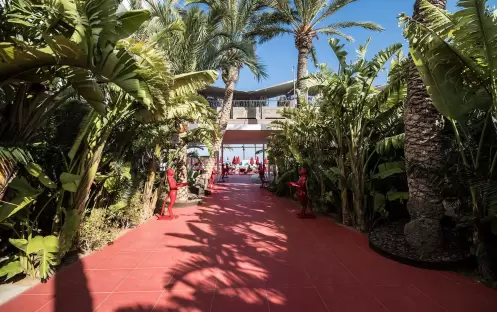 USHUAIA - THE OYSTER AND CAVIAR BAR WALKWAY USHUAIA - THE OYSTER AND CAVIAR BAR WALKWAY