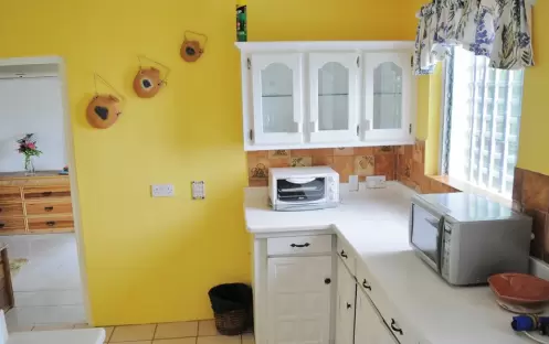YOUNG ISLAND DUVENNET SUITE - KITCHEN YOUNG ISLAND DUVENNET SUITE - KITCHEN