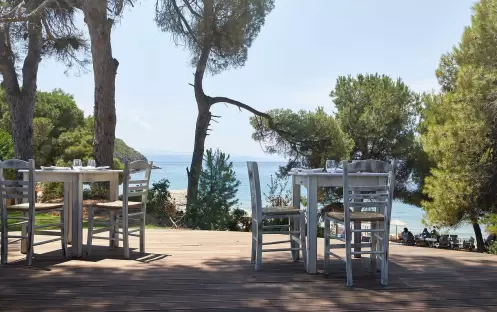 ELIVI -NEST POOL BAR ELIVI -NEST POOL BAR