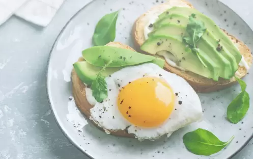 NEST BREAKFAST RESTAURANT BREAKFAST NEST BREAKFAST RESTAURANT BREAKFAST