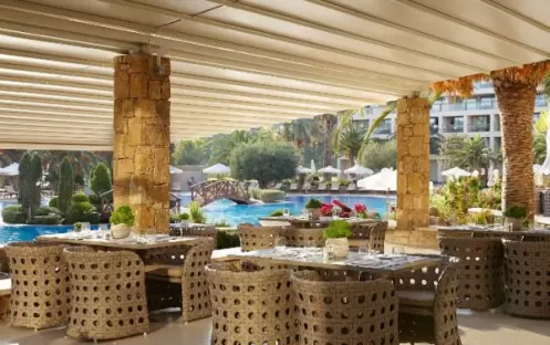 Bar by the Pool Bar by the Pool