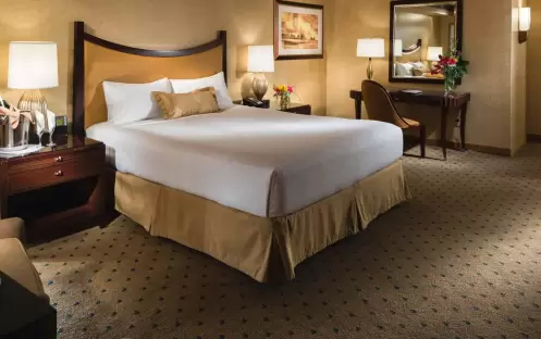 New York New York Hotel Las Vegas - Park Premier King New York New York Hotel Las Vegas - Park Premier King