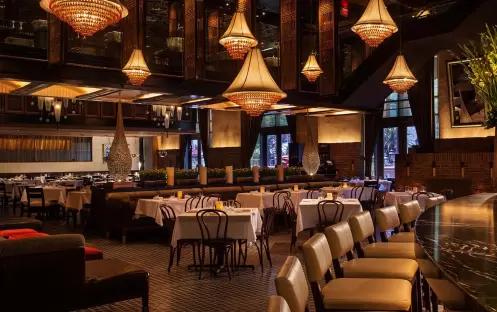 LAVO Italian Restaurant