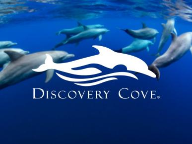 Discovery Cove Package Discovery Cove Package