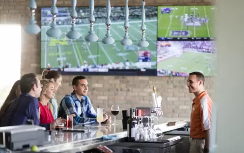 Shark Lounge Shark Lounge