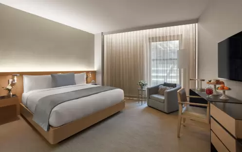 Knickerbocker - Deluxe Room Knickerbocker - Deluxe Room
