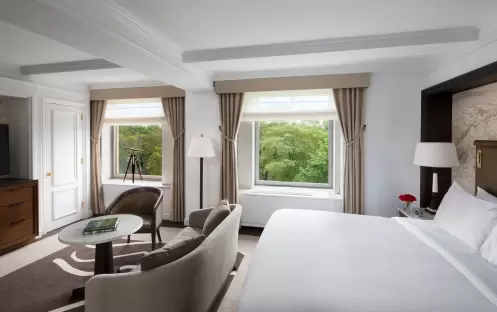 The Ritz Carlton New York - Park View Room